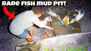 I Found MUD HOLE Filled With RARE FISH