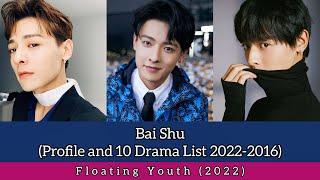 Bai Shu 白澍 Profile and 10 Drama List 2022-2016 Floating Youth 2022