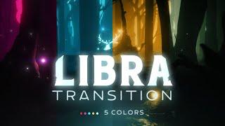 Libra  Stinger Transition