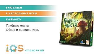 ГРИБНЫЕ МЕСТА настольная игра обзор и правила игры