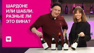 Обзор и дегустация вина Шабли Chablis – особое Шардоне из Бургундии