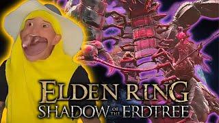 Attempt #100 to beat ELDEN RING DLC