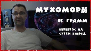 Мухоморный трип  15 г красных мухоморов  Каряка.