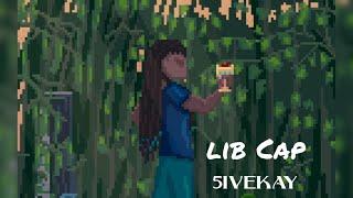 5ivekay - Lib Cap Visualizer
