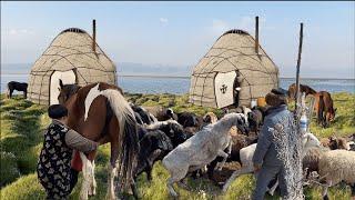 Pure life in the wild  Bread baking & Horse milking