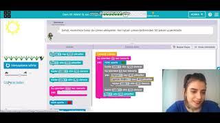 Code.org KURS 2 Ders 19 Ders Çözümleri