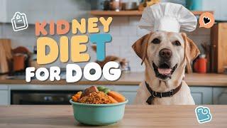  Kidney Diet for Dogs Homemade Complete Meal Plans for Your Pup