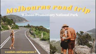 Weekend Away From Melbourne  Wilsons Promontory National Park & Wombats