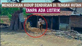 MIRIS HIDUP TERPENCIL DI TENGAH HUTAN TANPA ADA LISTRIK