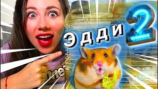 ПЕРВЫЙ ДЕНЬ ХОМЯКА ДОМА - НОВЫЙ ПИТОМЕЦ Эдди Второй  Elli Di Pets