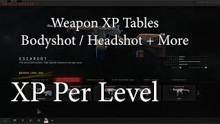 Weapon XP Explained - Black Ops 4 Zombies