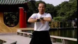 Pan Nam Wing Chun Bil Jee