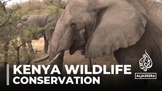 Kenya wildlife conservation Living in harmony with wild neighbours