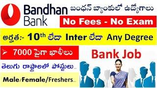 bandhan bank recruitment notification  bank jobs  bandhan bank recruitment apply online FREE