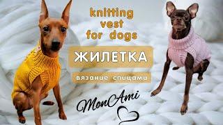 Как связать спицами жилетку для собаки knitting vest for dogs