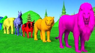 Paint And Animals  Lion Tiger Gorilla Horse  Cow Elephant Fountain Crossing Animal