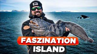 FASZINATION ISLAND - Angeln zwischen WALEN und RIESIGEN Schneebergen