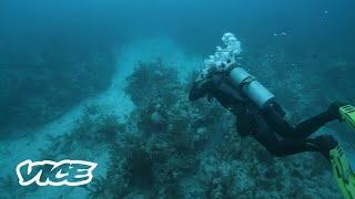 Las drogas envenenan el agua en Tulum