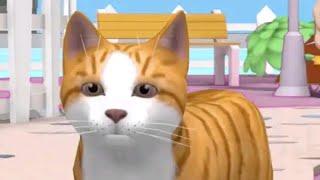 Cat Life Simulator AndroidiOS