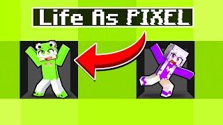 LIFE Inside A Pixel In Minecraft