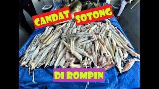 TRIP FAST JIG TENGGIRI BERTUKAR KEPADA TRIP MENYANDAT SOTONG DI ROMPIN PAHANG