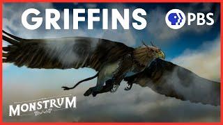 Why Has the Majestic Griffin Been Forgotten?  Monstrum