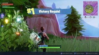 Fortnite  The Perfect Strategy Bushes