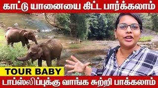 டாப் ஸ்லிப் -2   Top Slip Vlog  London Climate  Travel Vlog  Tour Baby  Umapathy Krishnan