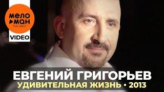 Евгений Григорьев Жека - Удивительная жизнь - Концерт в Меридиане  2013