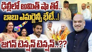 CM Chandrababu EMERGENCY Meeting With Amit Shah  Delhi  YS Jagan  TDP Vs YCP  Wild Wolf Digital