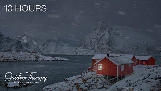 A Nordic Blizzard to Calm your Noisy Mind  Low Howling Wind & Blowing Snow Ambience  10 HOURS