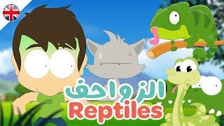 Learn Reptile Names in English  Reptiles for kids - Learn English with Zakaria