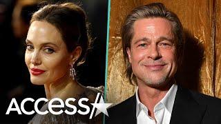 Brad Pitt Wins Joint Custody Of Children w Angelina Jolie