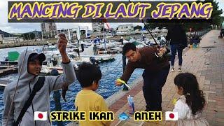 Kehidupan Di Jepang  Strike Ikan Aneh Di Laut Jepang