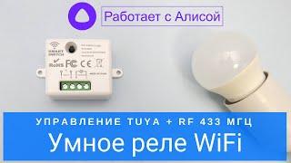Умное реле Tuya WiFi с беспроводным радио управлением 433 МГц работает с Яндекс Алиса