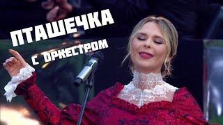ПТАШЕЧКА — Пелагея с оркестром