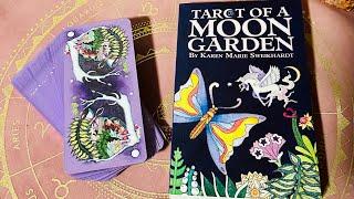 Tarot of a Moon Garden Borderless first impressions ‍️