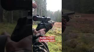 Schiesstand 9.3x62 Elchjagd in Schweden Merkel Helix Norma Moosehunt