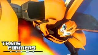 Transformers Prime  Hier ist Bumblebee  Cartoons Für Kinder  Transformers Deutsch