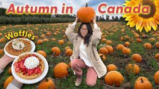 CANADIAN ADVENTURES  Pumpkin Patch Farms & Food Tour in Abbotsford & Langley