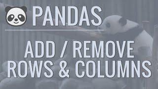 Python Pandas Tutorial Part 6 AddRemove Rows and Columns From DataFrames