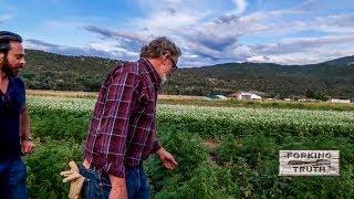 Sustainability & Farm to Table Show  BITE SIZE - Hemp on Rotation  with Biodynamics