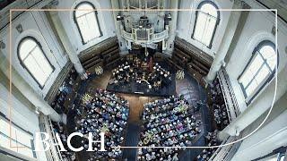 Bach - Cantata Aus der Tiefen rufe ich... BWV 131 - Van Veldhoven  Netherlands Bach Society