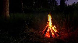 Crackling Campfire in the Woods a Spooky Halloween Ambience