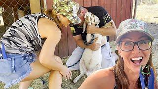 Her First Time Castrating A Male Goat