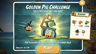 Angry Birds 2 Golden Pig Challenge