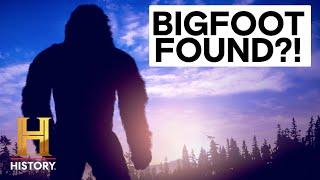 The Proof Is Out There 5 Mysterious Bigfoot Encounters