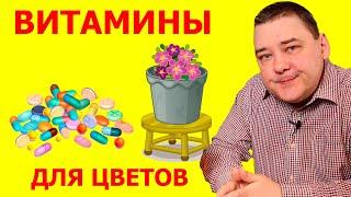 Аптечные витамины для цветов. Правда которая не всем понравится