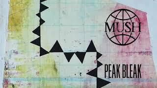 Mush - Peak Bleak Official Audio