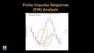 Introduction to Finite Impulse Response FIR Analysis